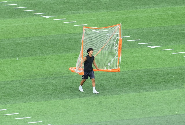 仅是扬尼斯